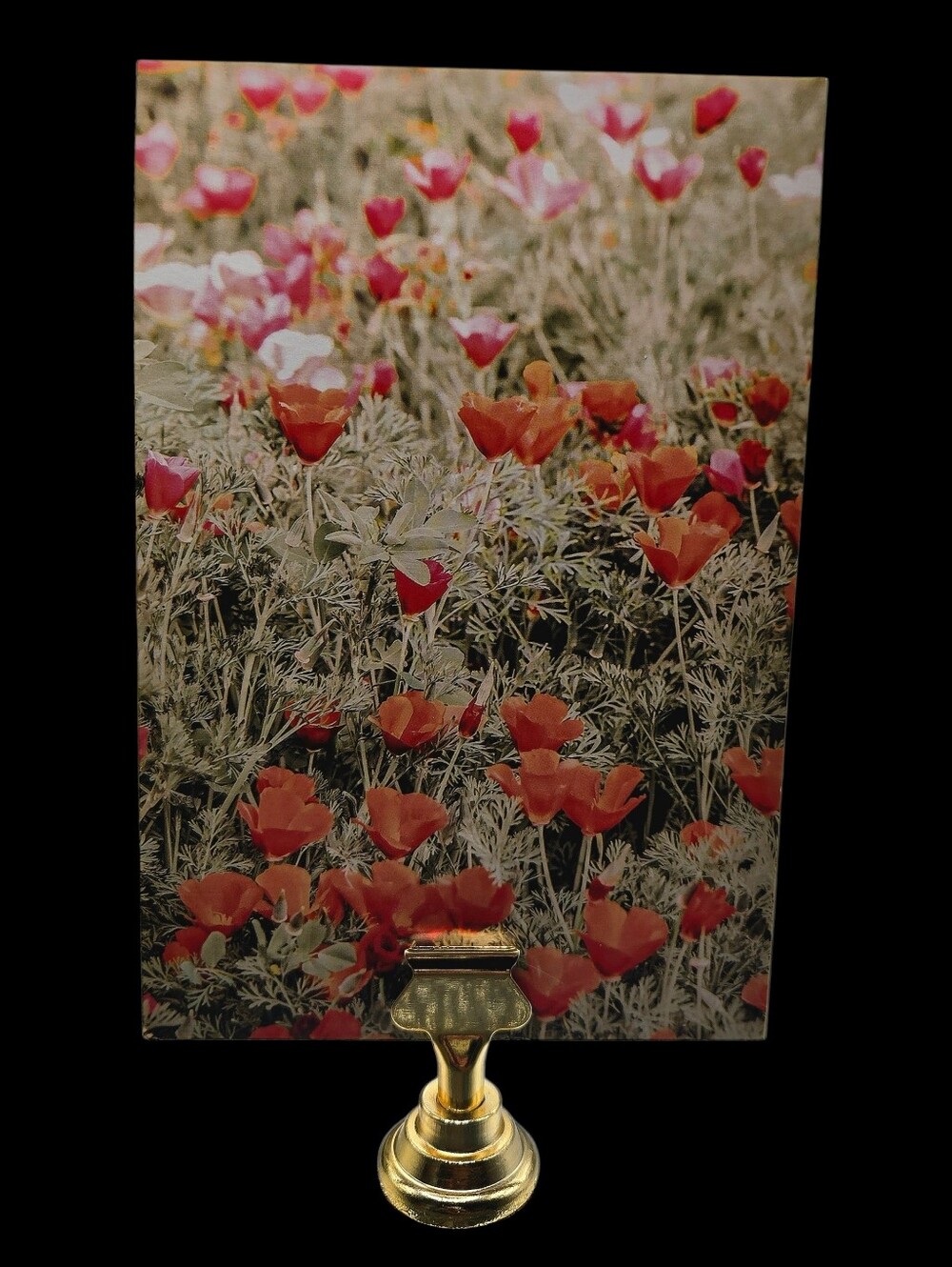 "5/$40" Set Of 2 4x6 Picture Cards W/Gold Stand, Poppies/Grazing Horse